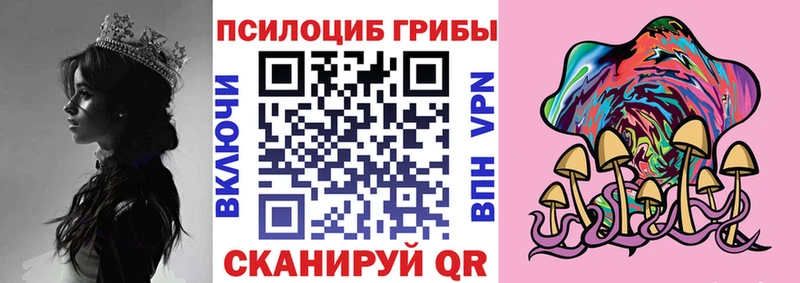 цена Углегорск Псилоцибиновые грибы Magic Shrooms